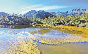 　螺髻山仙草湖。 涼山在線.jpg